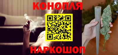 гидропоника Будённовск