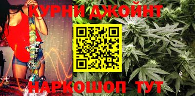 гидропоника Будённовск