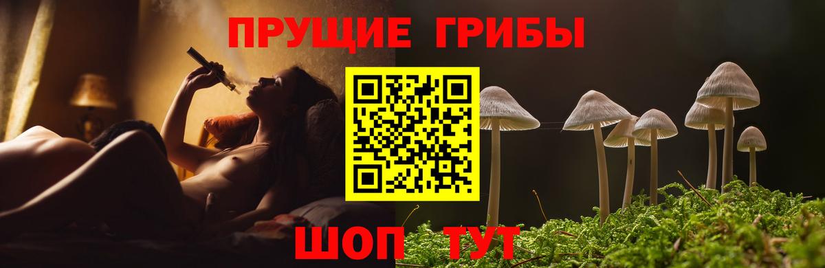 Галлюциногенные грибы Psilocybe Удомля